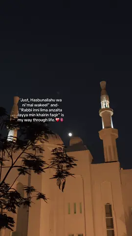 الله میرے اندر بہت سارے سوکھے پھول ہیں  اور تو، تو بارشوں کا رب ہے 💜 #fyp #viral #unfrezzmyaccount #foryou #foryoupage 