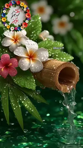 #صباحكم_أحلى_صباح #اكسبلوررررر #صلوا_على_رسول_الله #اللهم_صل_على_محمد_وآل_محمد 