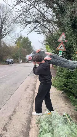 Emballé c’est pesé 🌲🌲🌲😁