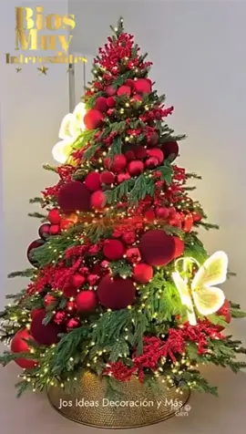 #LIVEIncentiveProgram #LIVEStory #PaidPartnership 