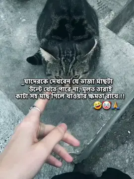 #fyp #hea_vhai😪  ... #foryou #viral #foryoupage 