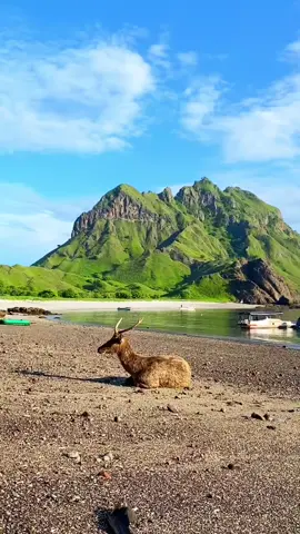 Wonderful Labuan bajo  #labuanbajo #indonesia #nusatenggaratimur 