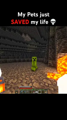 #minecraftmovie #minecraftedit #mincraft #minecraftideas #minecraftclips 