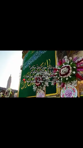 🥹#فاطمة_الزهراء #fyp #اللهم_عجل_لوليك_الفرج #كربلاء #شيعة_علي_الكرار 