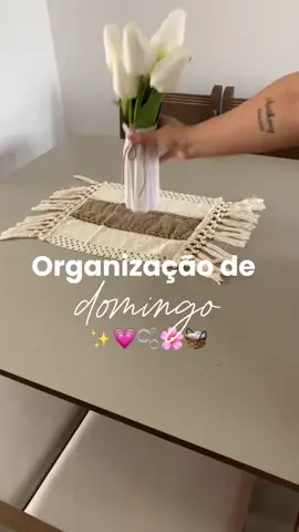 #limpeza #organizacao #foryou #fyp 