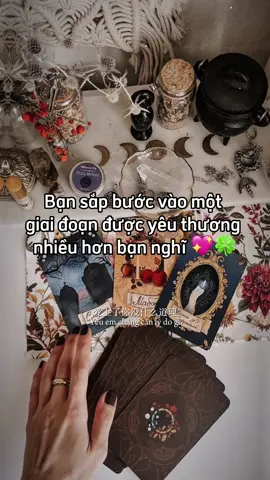 Bạn sắp bước vào một giai đoạn được yêu thương nhiều hơn bạn nghĩ ✨ Năng lượng từ trải bài cho thấy: Vũ trụ đang mở ra cho bạn một luồng cảm xúc rất mềm mại. Bạn không còn ở trạng thái phải tự yêu một mình nữa. Một nguồn tình cảm đang tiến về phía bạn rất rõ ràng. 💎 Những điều chứng minh bạn đang được để ý: Có người lặng lẽ quan sát mọi thay đổi của bạn. Họ chú ý từng chi tiết nhỏ khiến bạn bất ngờ. Sự quan tâm không còn là ngẫu nhiên. Bạn xuất hiện nhiều hơn trong suy nghĩ của họ. 💞 Điều sắp xảy ra trong thời gian tới: Một lời hỏi thăm làm tim bạn ấm lại. Một cuộc trò chuyện mở ra cảm xúc mới. Có sự chủ động mạnh mẽ hơn từ phía người ấy. Mối liên kết này sẽ trở nên gần gũi hơn từng ngày. 👉 Muốn biết rõ hơn: Ai đang dành sự quan tâm đặc biệt này cho bạn? Họ sẽ tiến tới theo nhịp nhẹ nhàng hay dồn dập? Thời điểm nào cảm xúc giữa hai bạn rõ rệt nhất? Mối duyên này có khả năng trở thành tình yêu thật sự không?