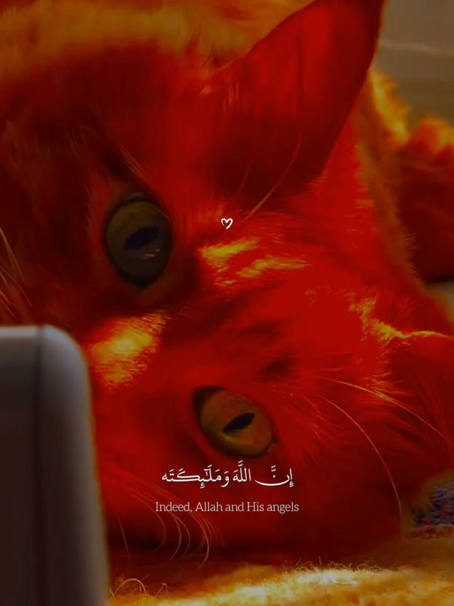 ‏‏‏‏النبي عاش ٢٣ سنه بيدعي للأسلام عشانك عيش دقيقه وصلِ عليه‏‏❤️‍🩹🎧😴 #عبدالله_احمد_شعبان #دعاء_يوم_الجمعة #ليله_الجمعه #صلوا_على_رسول_الله #يوم_الجمعه 