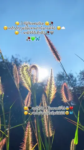 #เปิดการมองเห็น #ขื้นฟีดเถอะ #ตามจังหวะ #กดใจให้หน่อย #ข่าวtiktok 