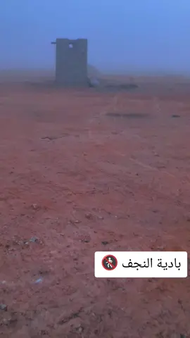 #باديه_النجف 