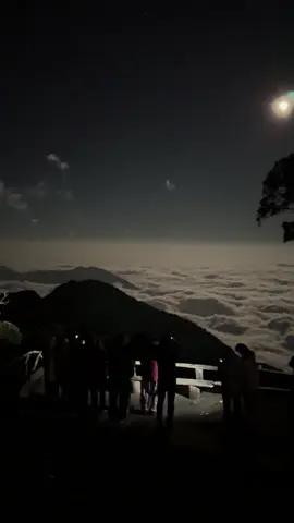 Cảm giác có thể hoá thành chú cuội luôn được #Ditrek #trekking #vietnam 