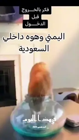 #في هذا اليوم