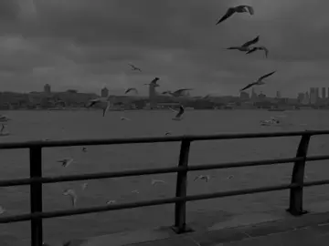 🖤#ra7matte #fyp #ere💔🥺 #fypツ #viral 