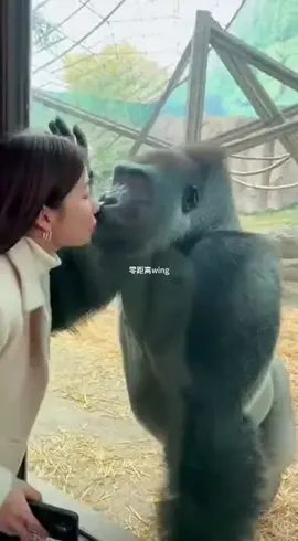 ko vô bế con đứng hun gái bị vợ gank