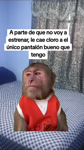 que más me puedria pasar  #añonuevo #estrenos #ropa 