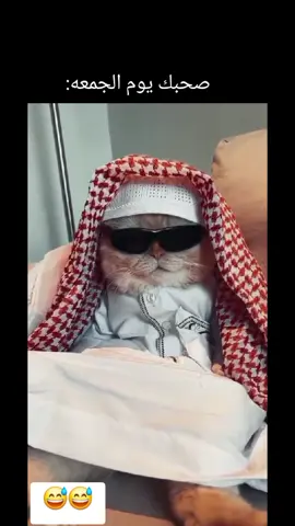 صحبك يوم الجمعه😅😅 منشن لصحبك #يوم_الجمعه  #ضحك  #مصمم_فيديوهات🎬🎵 😂  #كوميديا 