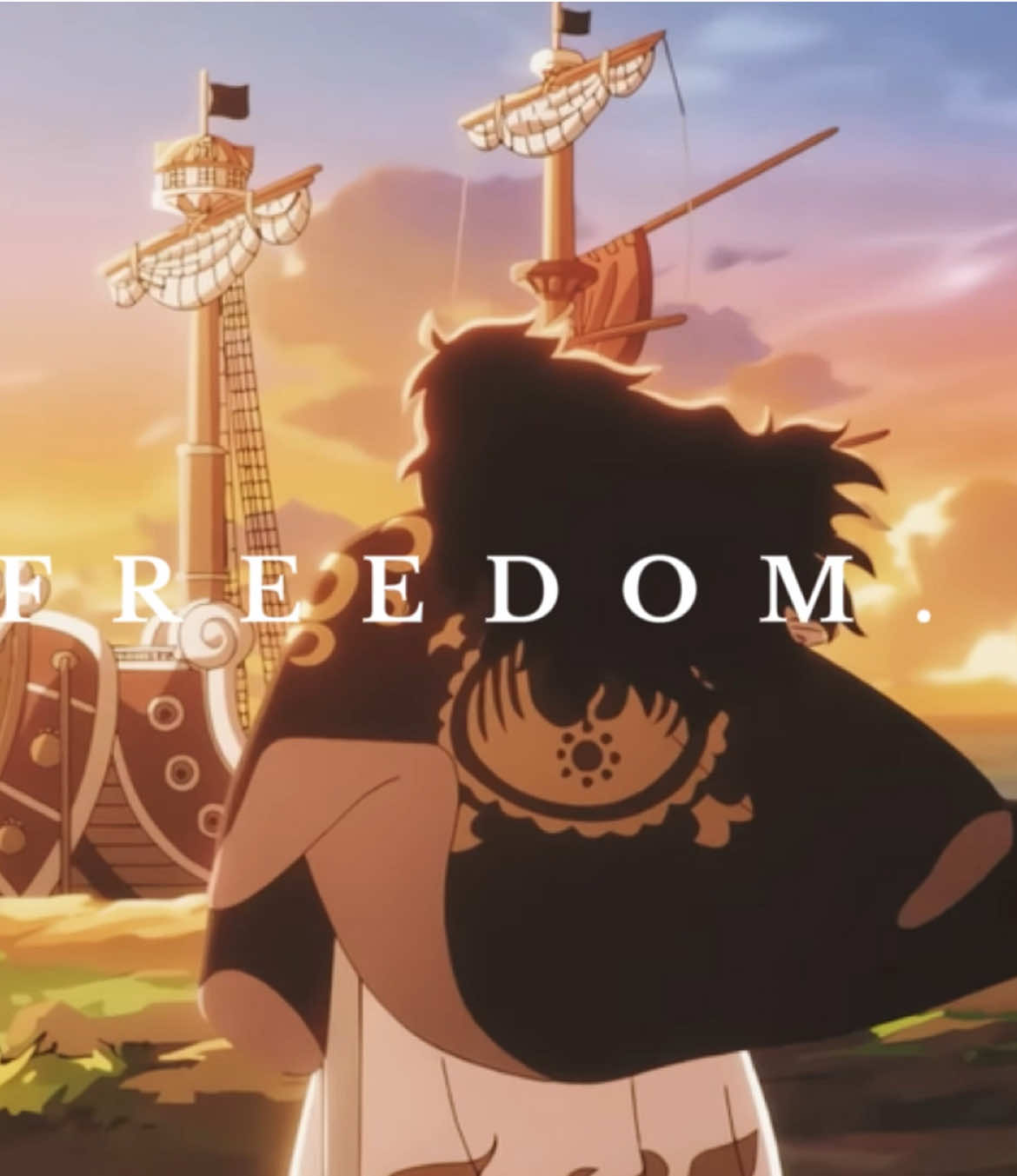 They all want to be free #onepiece #onepieceedit #eichirooda #freedom #onepieceedit 