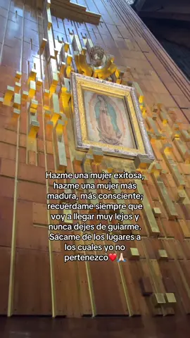 Guíame siempre madre mía❤️🙏🏻#fyppppppppppppppppppppppp #parati #virgendeguadalupe #basilicadeguadalupe #virgencita 