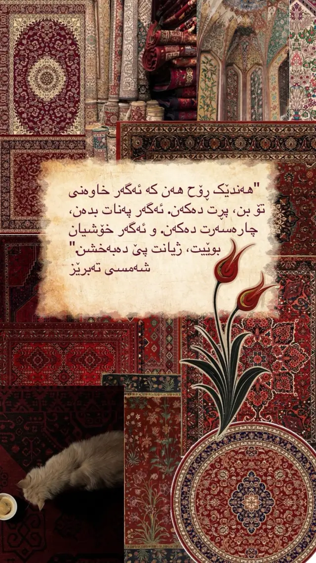 #اللهم_صلي_على_نبينا_محمد #mawlana #viral #هەولێر_سلێمانی_دەهۆک_ڕانیه_کەرکوک #شمس_التبريزي 