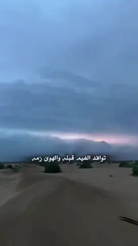 شيلة الشتاء بلا منازع @محمد ال دلبج🎙  #محمد_ال_دلبج #اكسبلور #fyp #الصياهد #fyppppppppppppppppppppppp 