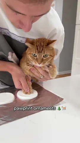 Gary’s first pawprint ornament 🥹