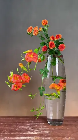 Hoa đăng tiêu thể hiện cho sự vươn lên và may mắn , là loại dây leo thân gỗ , hoa của nó cũng giống kiểu hoa loa kèn , các bạn có thích loại hoa này #camhoacungthayde  #yeuhoa  #camhoanghethuat  #mêhoa  #huongdancamhoa 