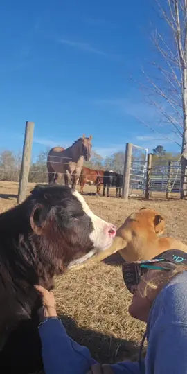 #tiktoklive #livehighlights #starla 