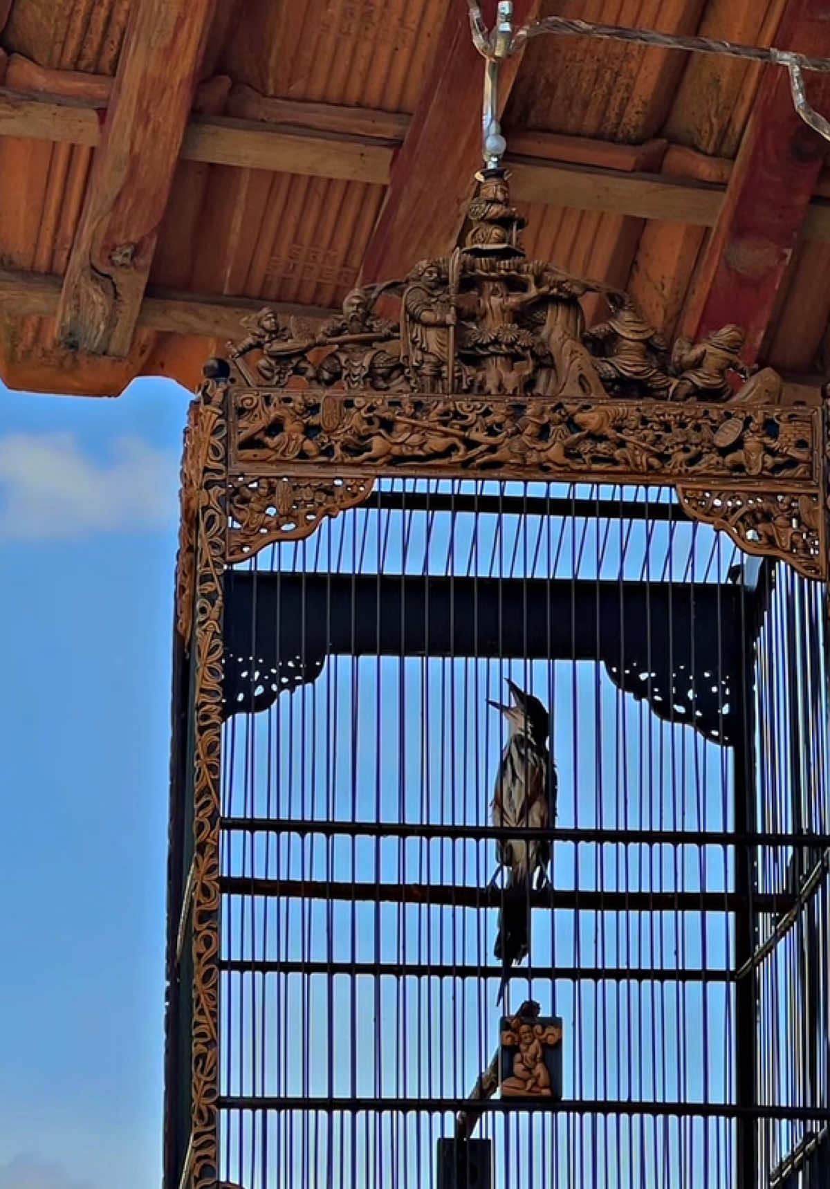 #CapCut pasca mabung 🥰 #storikicaumania #cendetmanianusantara #kicaumaniaindonesia #fyp 