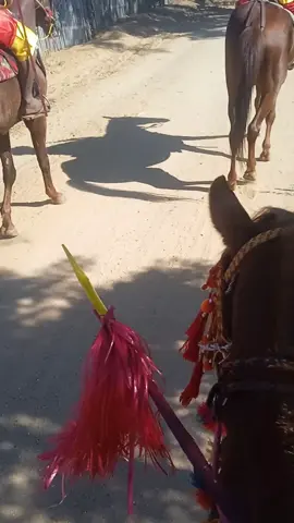 #ပန်းညိုစန်းအလှူုပဒမီဖြည့်နေသည်