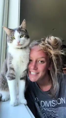 This is how my cat says 'I love you' 🤣#cat #cats #catsoftiktok #usa #fyp 