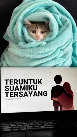 #abahkoeradio #catlovers #radiotiktok #requeslagu #fyppppppppppppppppppppppp 