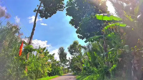 🥰🥰🥰 #xuhuong #mientay #canhdep #binhyen #chill #xuhuongtiktok #dvkhang71b3 #fyp 