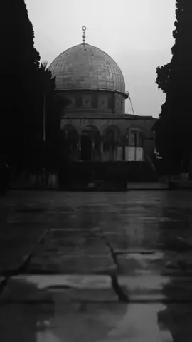 من اعتمد على ماله قل ومن اعتمد على الناس ملل ومن اعتمد على الله لا مل ولا قل ولا ذل  #دعاء_يريح_القلوب_ويطمئن_النفوس 