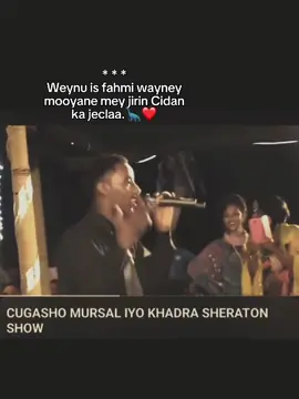 jaceylku layab ma leH..||17:07#somali_tiktok #qadroandmurzal#qisostudio 