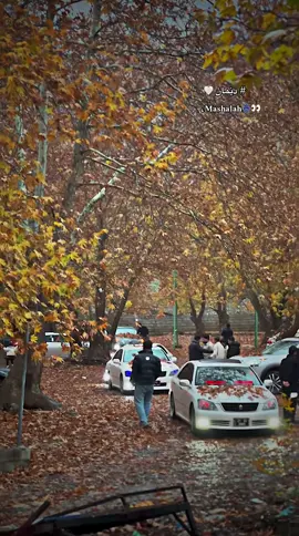 Mashala🤍⚜️,#کوردستان🇹🇯️ #شاورێ #دێمان #ئەکتیڤبن🥀🖤ـہہـ٨ــہ #foryou 