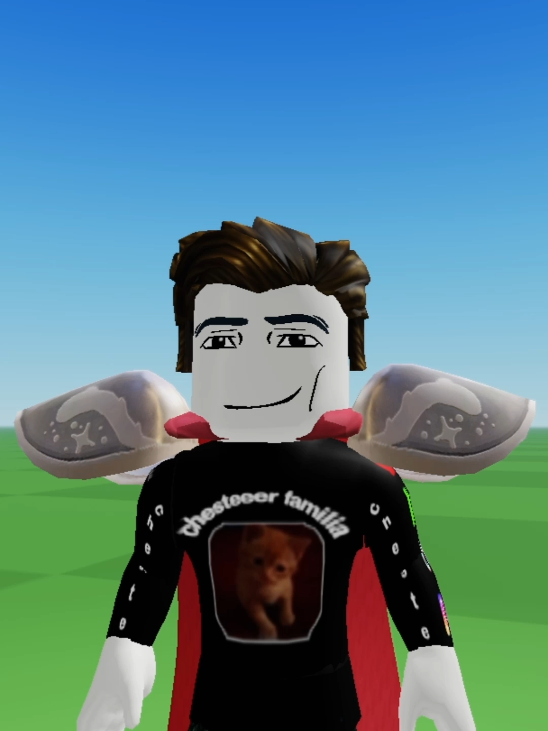 este es el chester de la buena suerte  #robloxfyp #fyp #argentina