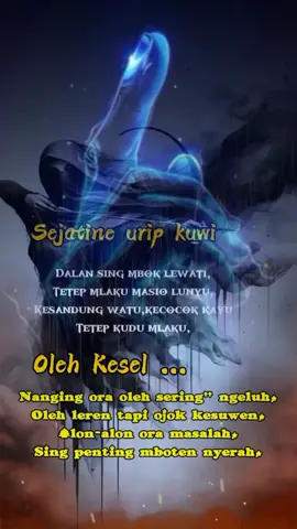 permisi,,nyuwunsewu,,