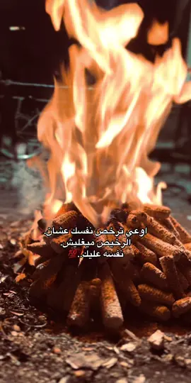 اوعي ترخص نفسك عشان. الرخيص ميغليش. نفسه عليك..🐺#حفيد_القطامي #الصعيد #fypシ #explore 