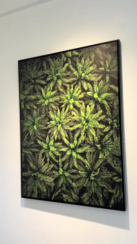 ORIGINAL PHOTOGRAPH. Limited edition(5pcs) ☎️0247441702 #originalshots #canvas #frame #pictureframes #frameshop 