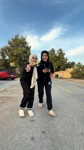 طارة الطيارة😂😂#ام_سيف #جيفارا_العلي #نانو 