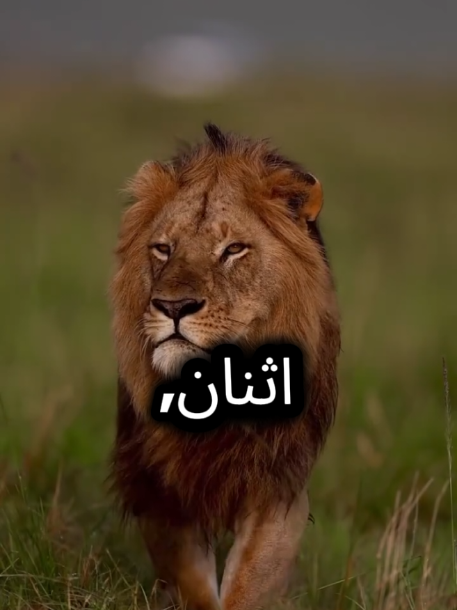 5 أمور لا تخبرها ابدا للناس  #اقتباسات_عبارات_خواطر #اقتباسات #عبارات 