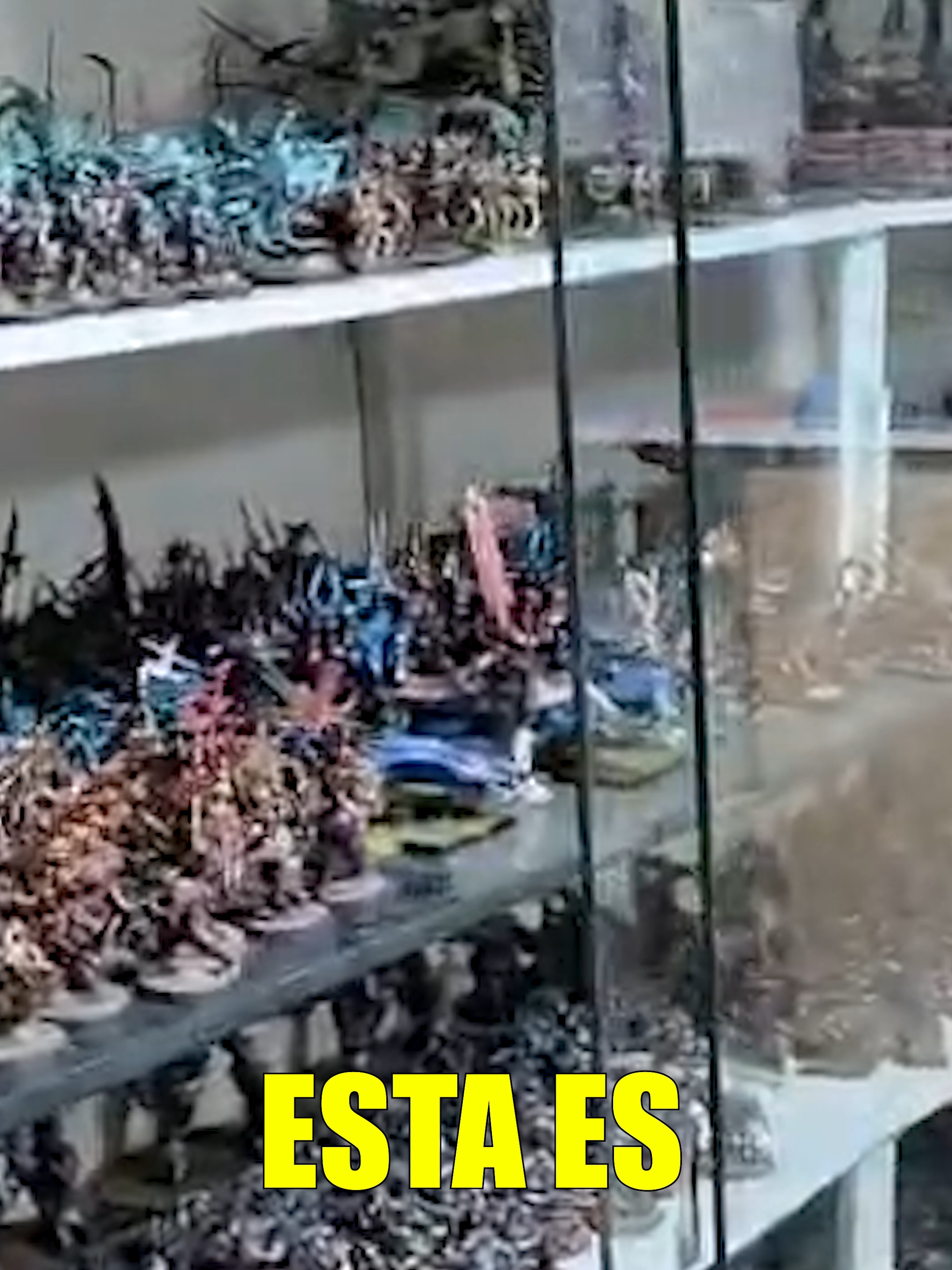 Esta es una de las mayores colecciones del mundo #warhammer40k #ageofsigmar #warhammerfantasy