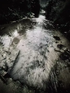 “Lời nói vô hình nhưng để lại vết thương thật đau…” #nhacbuon #story #viraltiktok #xuhuongtiktok #tamtrang 