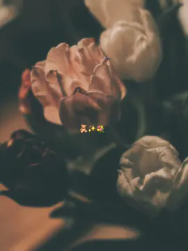 @🍂.ʀ𝗂ꪗ ꪖ4𝗇ꪖ.♡︎🍂 😍🌷